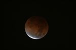 Total Lunar Eclipse (2008-02-21)